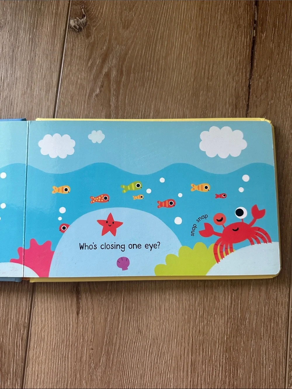 Usborne Who's Fallen Asleep? Board Book - Blue